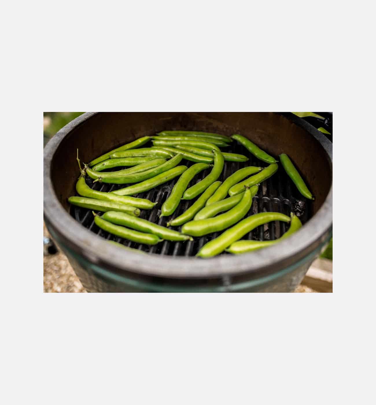 Big Green Egg ACMM410 Cast Iron Searing Grid Img3 Big Green Egg ACMM410 Cast Iron Searing Grid - Image 3