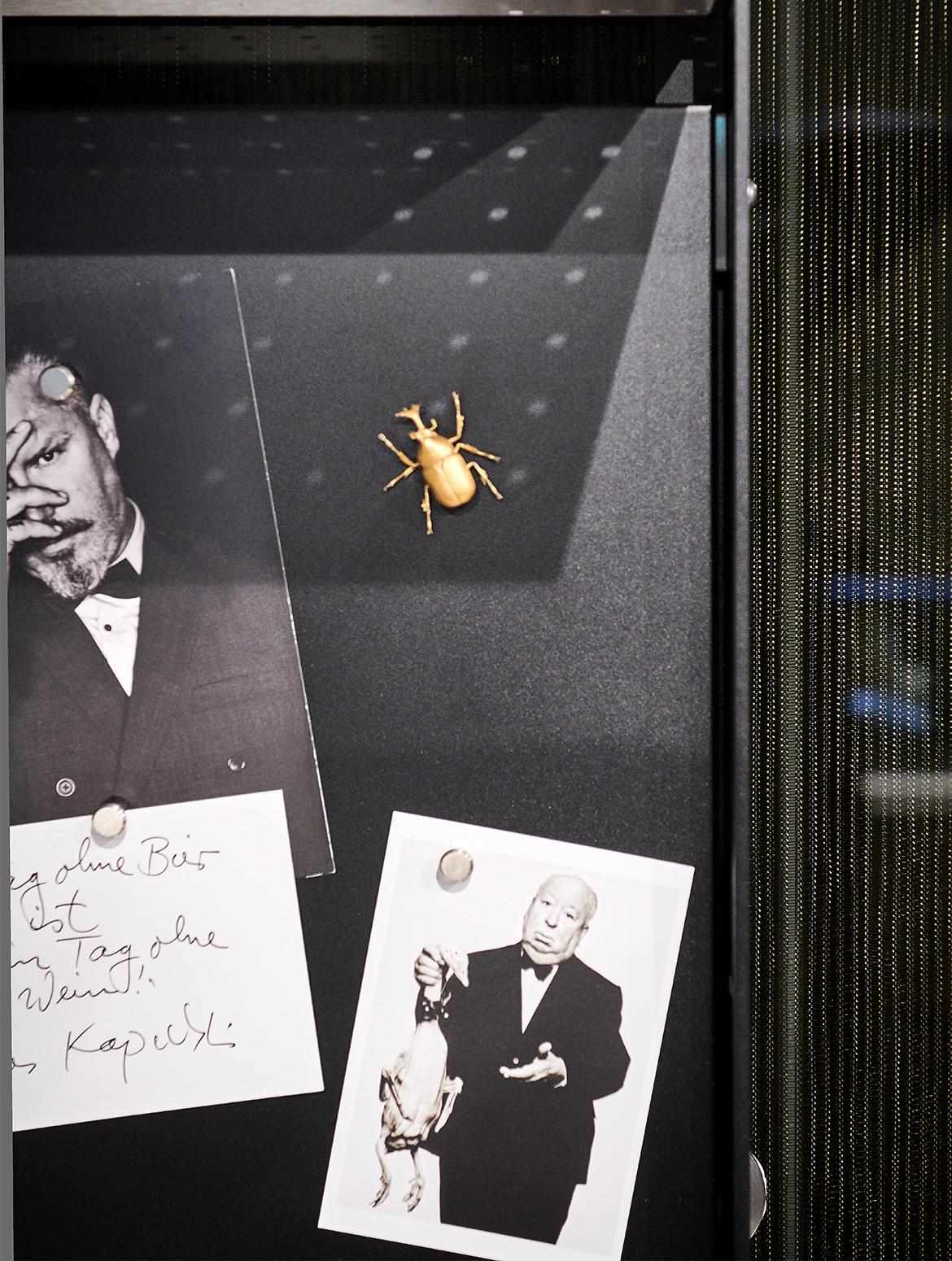 A modern kitchen with quartz-top islands. A close in of a magnetised board. On it a picture of Alfred Hitchcock with a goose, a gold scarab beetle, a black and white photograph of a bearded middle-aged man in a tuxedo with his right hand covering the side of his face stand out. 