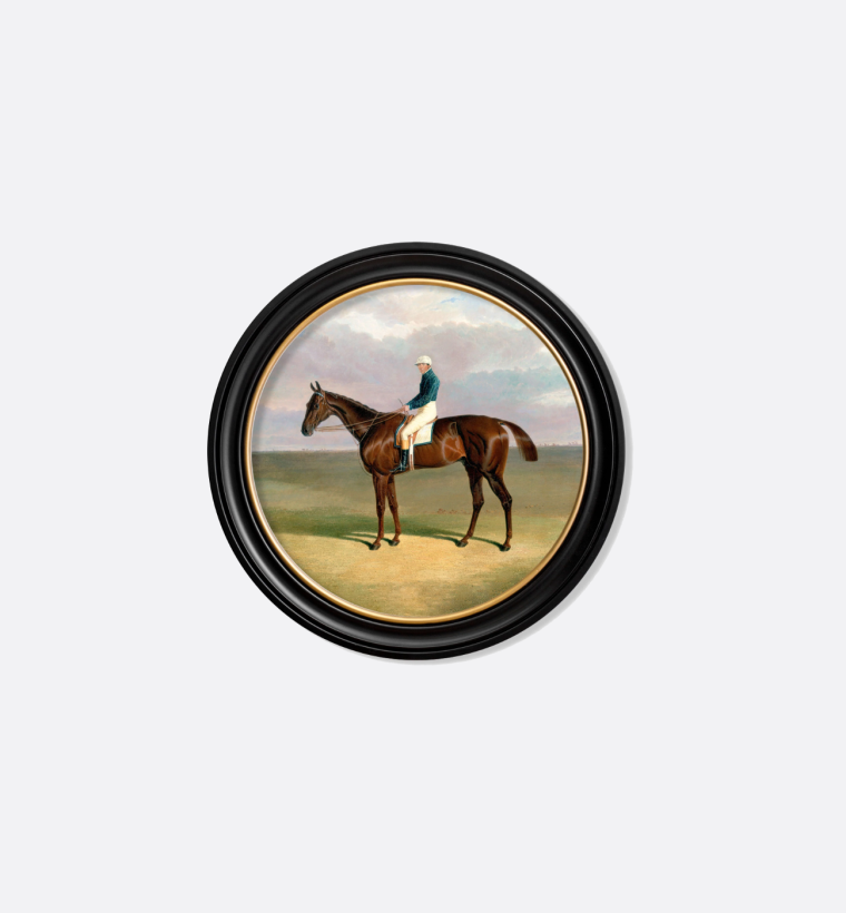 TA Interiors Round Horse Looking Left Portrait